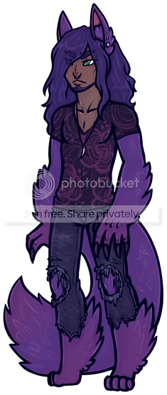 User Image